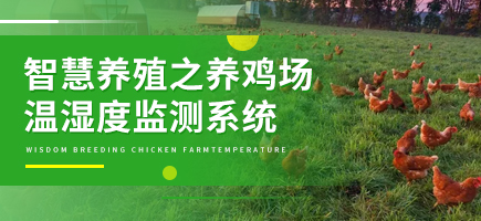 智慧养殖之养鸡场温湿度监测系统